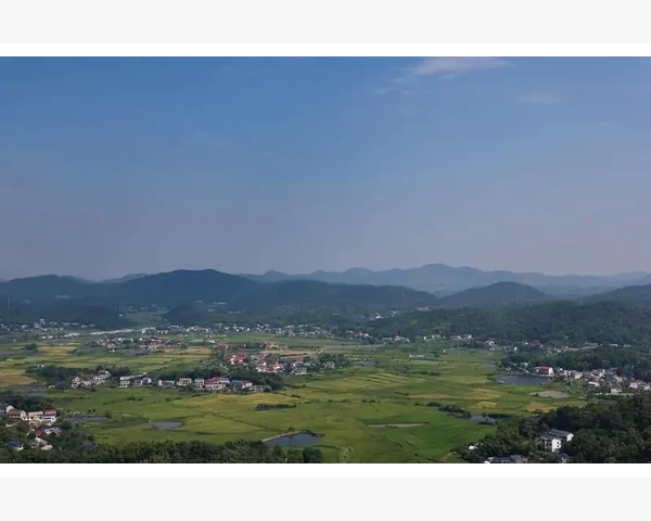 夏天化痰的水果推荐与中医解析