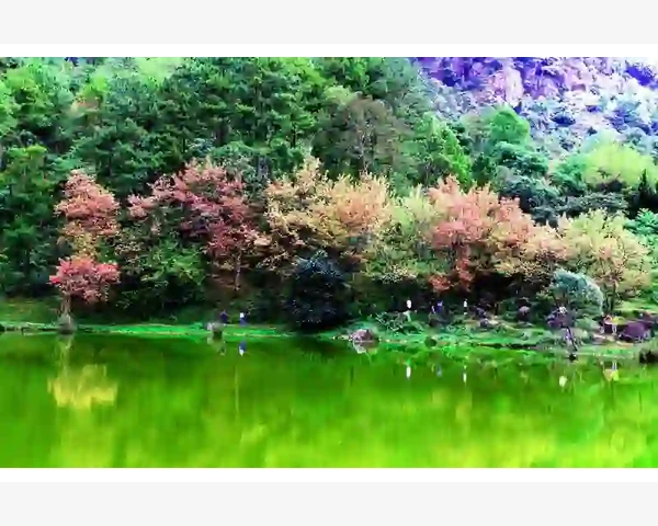 夏天冷饮伤脾胃？真相是什么？